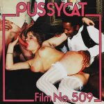 Pussycat Film 509 Hotel Whore first box front