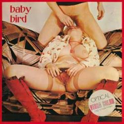 Moviestar Baby Bird loop poster