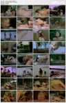 Sweet Summer (1986) thumbnails