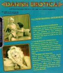 Danish Erotica 11 Penetrating Interview back poster