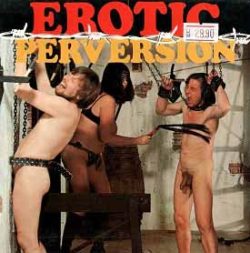 Erotic Perversion Sadism loop poster