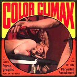 Color Climax Film Perverted Punishment loop poster