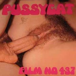 Pussycat Film All Night Fuck loop poster