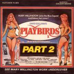 Fletcher Films The Playbirds Part 2 first box front