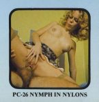 Platinum 26 Nymph in Nylons poster