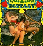 Ecstasy 3 In The Swing poster
