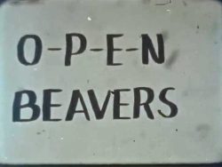Diverse Industries Open Beavers title screen