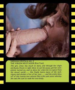 Swedish Erotica 2 The Virgin Next Door Part 2 poster
