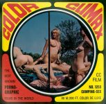 Color Climax Film 1253 Camping Sex first box front