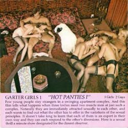 Garter Girls 1 Hot Panties I small poster