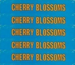 Cherry Blossoms a