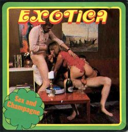 Exotica Film 501 Sex And Champagne poster