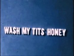 Wash My Tits Honey poster