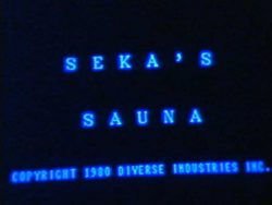 Diverse Industries Sekas Sauna poster