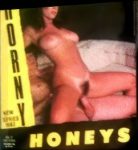 Horny Honeys 129 - Deep Cunt second box
