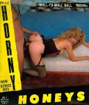 Horny Honeys 132 Wall To Wall Ball poster