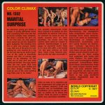 Color Climax Film 1332 Marital Surprise first box back