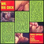 Expo Film Mr Big Cock back poster