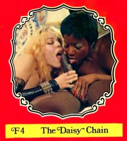 Foxy Ladies 4 The Daisy Chain poster