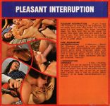 Orange 3 Pleasant Interruption back poster
