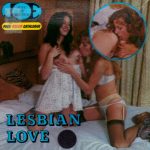 Pleasure Production 2029 Lesbian Love second box