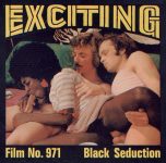 Exciting Film Black Seduction big poster