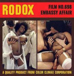 Rodox Film Embassy Affair loop poster