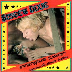 Sweet Dixie 2 Birmingham Blow poster