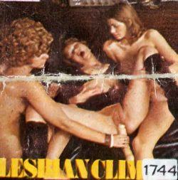 Master Film 1744 Lesbian Climax poster