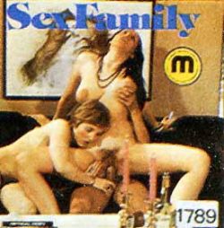 Master Film Sex Family loop poster