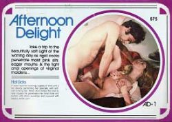 Afternoon Delight 1 - Hot Licks compressed poster