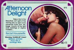 Afternoon Delight 11 Rectal Housewife loop poster