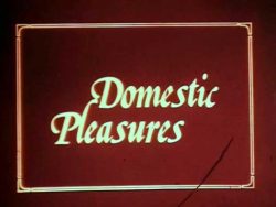 Raffaelli F-821 - Domestic Pleasures title screen