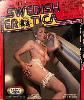 Swedish Erotica 198 Casting Couch compressed poster