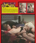 Swedish Erotica Hot Flash big poster