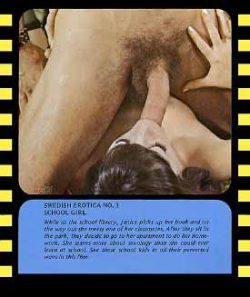 Swedish Erotica School Girl loop poster
