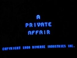 Diverse Industries A Private Affair title screen