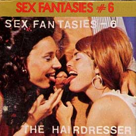 Sex Fantasies 6 The Hairdresser compressed poster