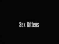 Venus Film V2 Sex Kittens title screen