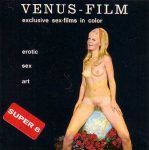 Venus Film V4 The Negro And The Maid poster