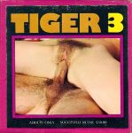 Tiger big poster