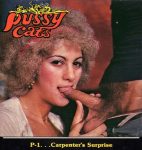 Pussy Cats 1 Carpenters Surprise poster