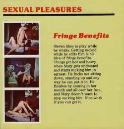 Sexual Pleasures Fringe Benefits loop poster