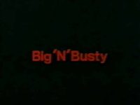 Big N Busty HD title screen