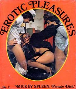 Erotic Pleasures 2 poster