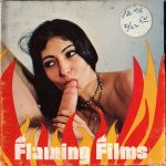 Flaming Films 510 Chick Loves Dick first box front