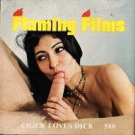 Flaming Films 510 Chick Loves Dick second box front