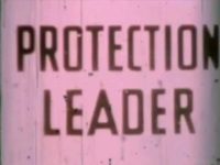 Protection Leader loop poster
