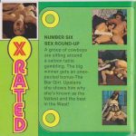 X Rated 6 Sex Round Up poster