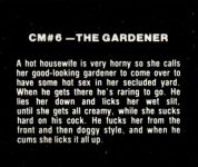 Checkmate 2 6 - The Gardener description